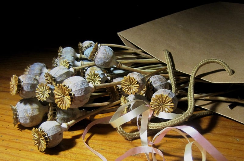 Celestial seed packets